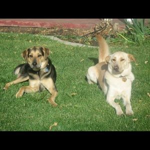 Meet your Posher, Catania